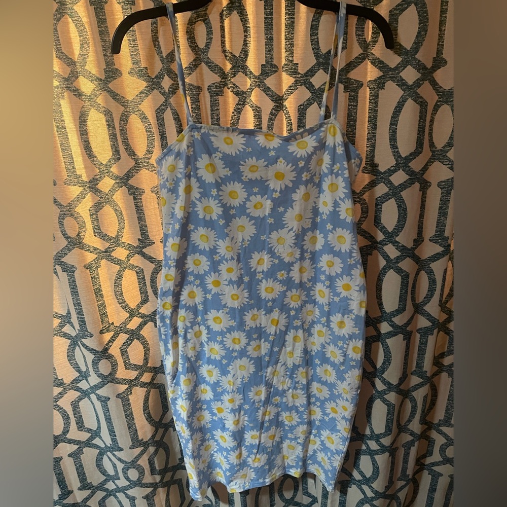 Rue21 Floral Blue and White Dress